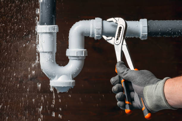 Professional Plumbing technician working in Harbeson, DE